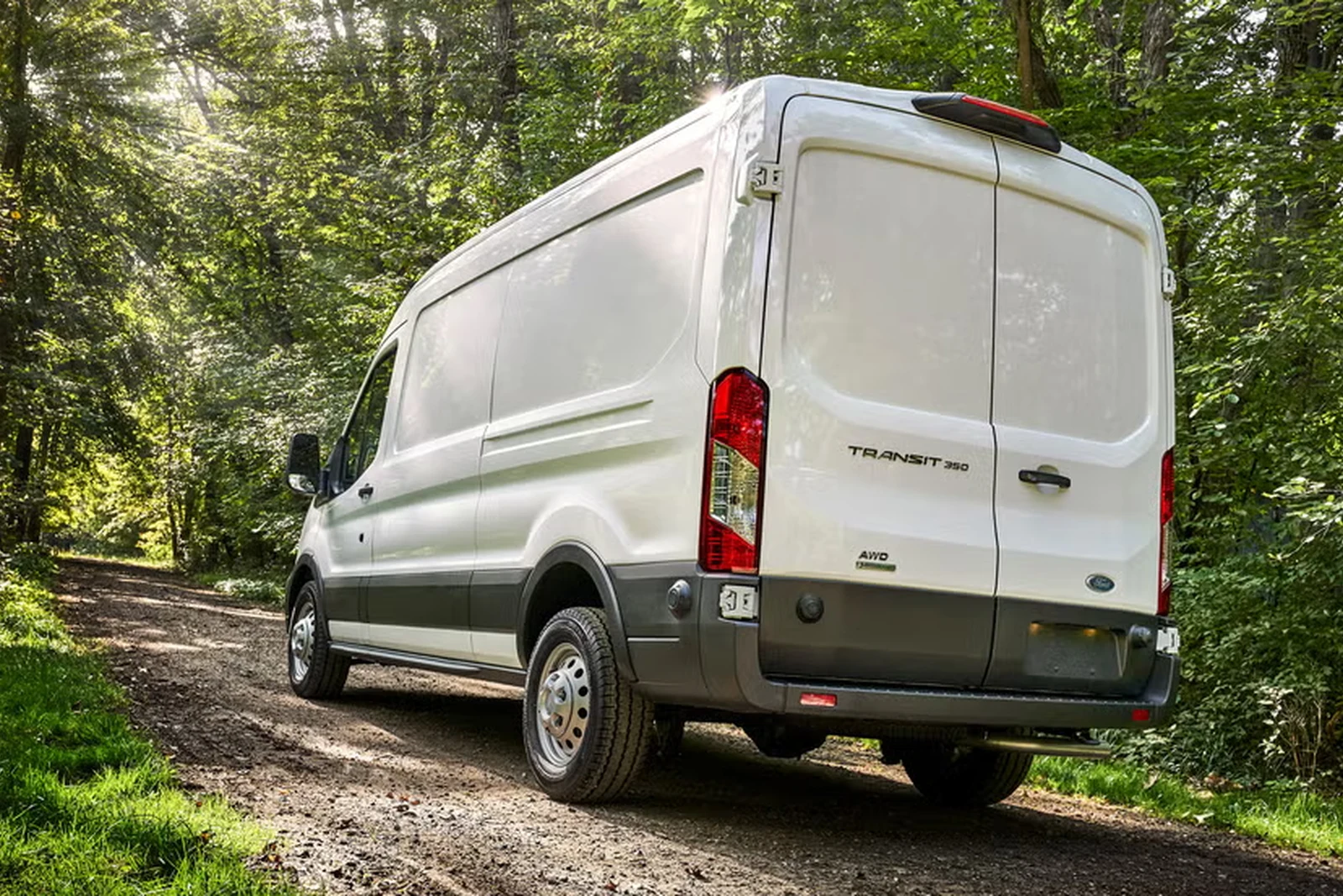Ford Transit fleet cargo van